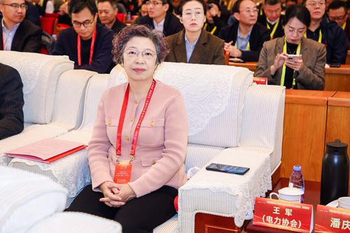 王军（电力协会）